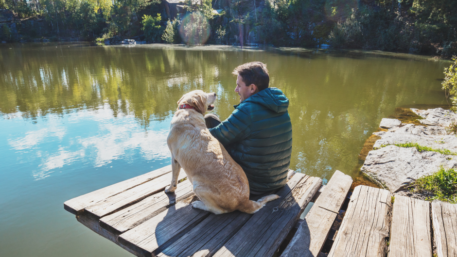 Beware of Algae Blooms in Pets!