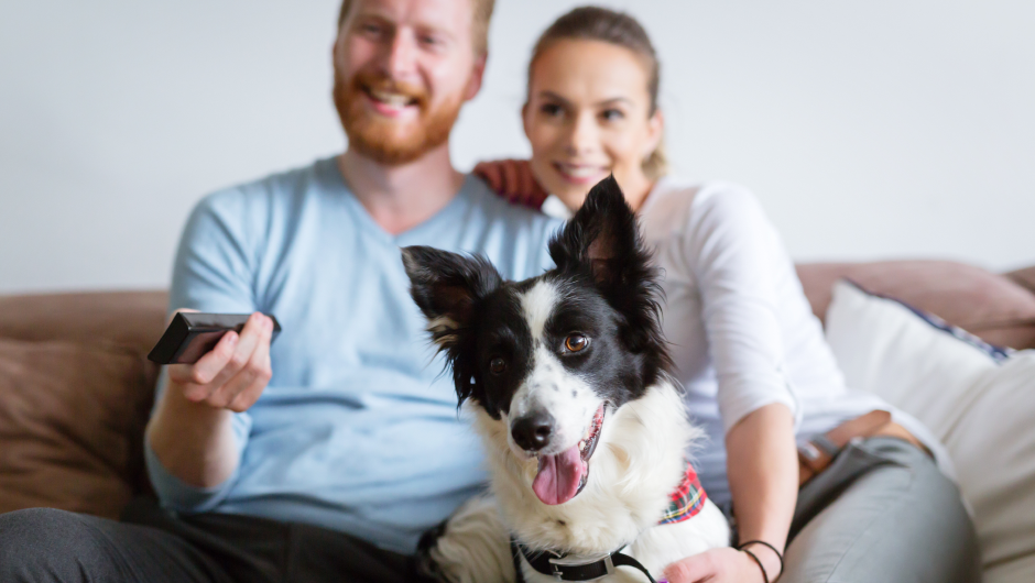 We Believe Pets Are Family!