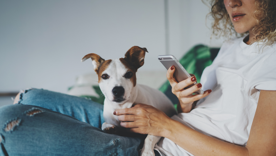 Risky Business! Online Pet Pharmacy Dangers